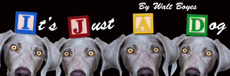It's Just a Dog