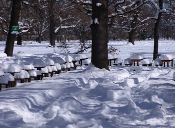 snow