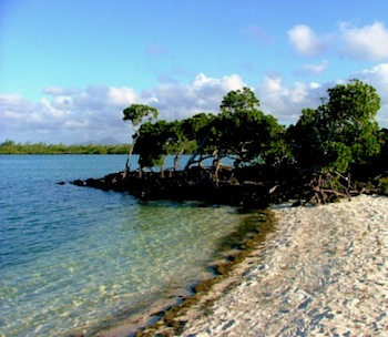 beach