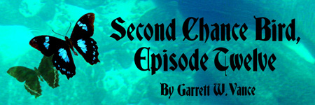 Second Chance Bird Episode 12 banner