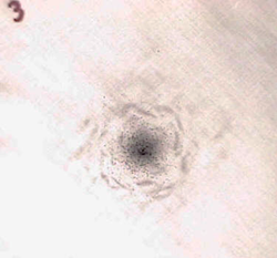 gunshot