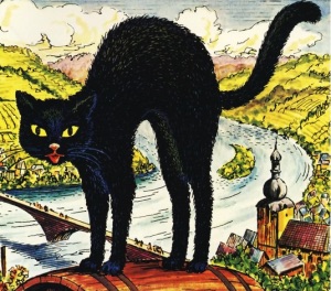 cat